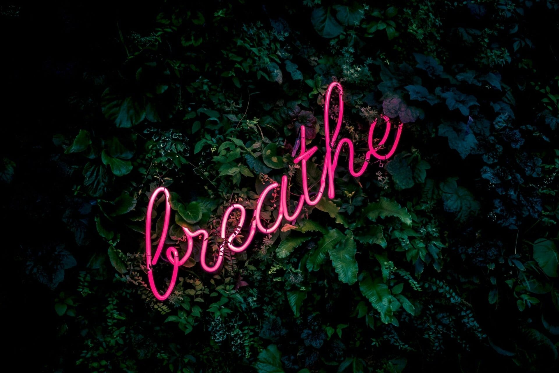 Modul în care respirația îți afectează memoria